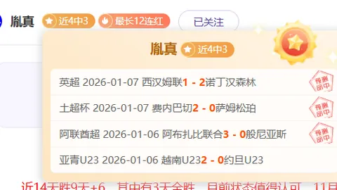 《揭秘荷甲霸主！深度解析，五星之选，信心满满攻略》